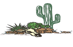 Spring Branch Trading Post